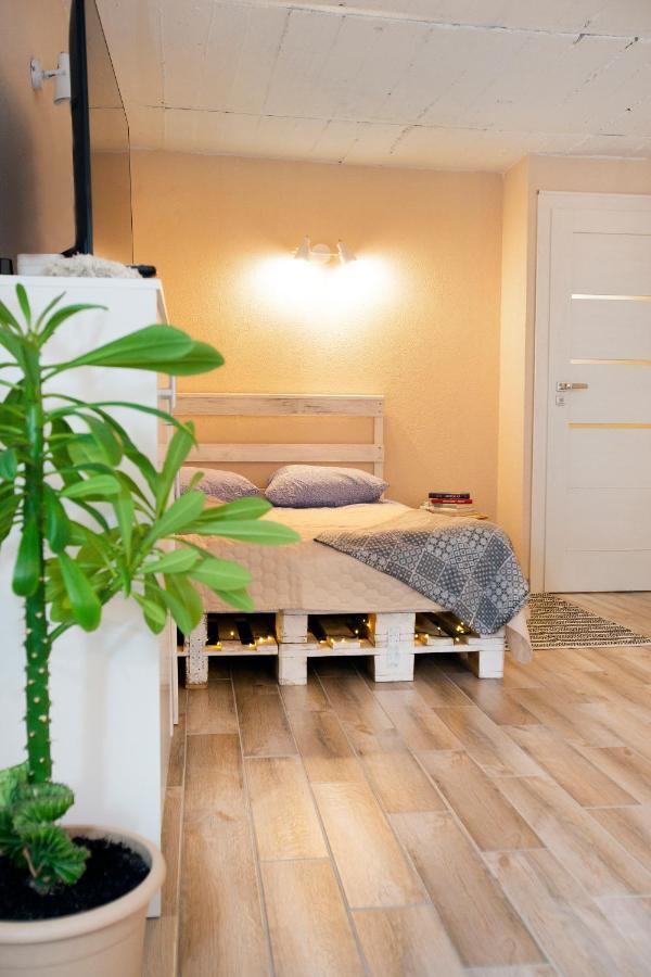 Apartment In Garage With Free Parking Kaunas Bagian luar foto